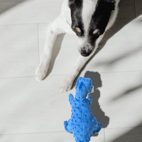 Dinosaur Dog Toy, Blue Plush Squeaky Chew Toy for Small, Large, and Big Dogs, Birthday Dog Toys