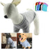 Lovelonglong Pet Clothing, Dog Costumes, 100% Cotton Blank T-Shirt for Dachshund & Corgi Dogs, Gray D-M