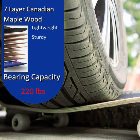 Skateboards for Beginners - 31 Inch Pro Complete Skate Boards, 7 Layer Canadian Maple, Double Kick Concave