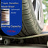 Skateboards for Beginners - 31 Inch Pro Complete Skate Boards, 7 Layer Canadian Maple, Double Kick Concave