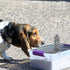 3 Pack 5.11X2.36X1.57In Dog Urine Post Indoor Pee Station Pet Training Toilet Accessories Urine Guide Column Easy