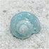 Opaeroo 1.1-5cm Snow Painted Hermit Crab Shells for Home Decorations Hermit Crab Supplies