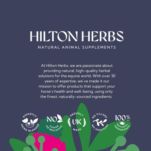 Hilton Herbs 1.1 lb Herballs All Natural Horse Treat with Oregano and Mint