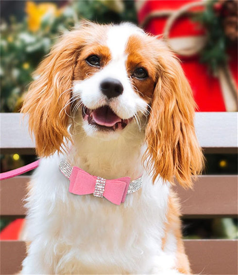Rhinestone Bowtie Dog Collar for Girls Boys, Cute Dazzling Soft Suede Leather Bling Collars for Small Medium Large Dogs