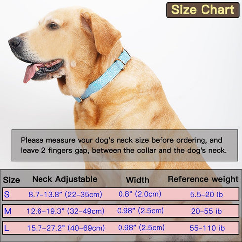 Glare Gold Dog Collar, Leather and Nylon Double Layer Design, Adjustable Heavy Duty with Quick Release Buckle for Dogs