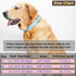 Glare Gold Dog Collar, Leather and Nylon Double Layer Design, Adjustable Heavy Duty with Quick Release Buckle for Dogs