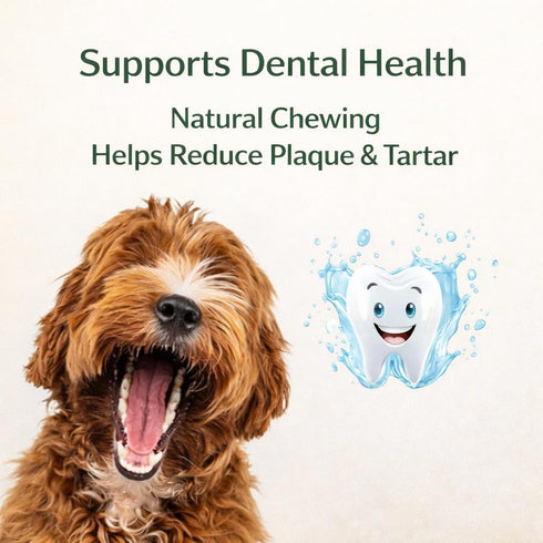 6 Inch (5 Count), Beef Sausage Jerky-Style Dog Treats Single Ingredient Grass-Fed Beef Dog Chews, Rawhide-Free