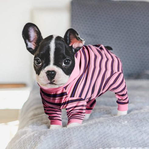 FEimaX Dog Recovery Suit After Surgery, Post Surgical Shirt for Dogs Cats, Prevent Licking Onesie Alternative to