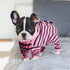FEimaX Dog Recovery Suit After Surgery, Post Surgical Shirt for Dogs Cats, Prevent Licking Onesie Alternative to
