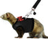 Rypet Soft Mesh Animal Harness and Leash - No Pull Comfort Padded Vest with Safe Bell for Small Pet (Black M)
