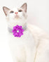 Rhinestone Dog Collar for Small Medium Dogs, Purple XS Collar for Girl Female Dogs Flower Puppy Necklace (Purple, XS)