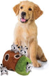 4 Glow Pups Hide and Seek Dog Toy, Interactive Plush Raccoon in Tree Burrow, Squeaky Woodland Style Dog Toys for Small
