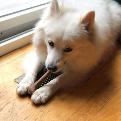 SPOT Bambone Bone