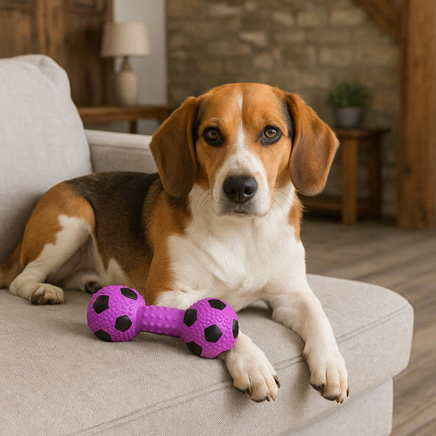SPOT Stuffed Latex Soccer Ball Dumbbell Dog Toy, 6in Durable Chew Toy for Small & Medium Dogs