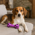 SPOT Stuffed Latex Soccer Ball Dumbbell Dog Toy, 6in Durable Chew Toy for Small & Medium Dogs