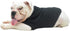 Lovelonglong Bulldog Blank T-Shirt, Dog Clothing Tee Shirts for French Bulldog, English Bulldog, American Pit Bull,