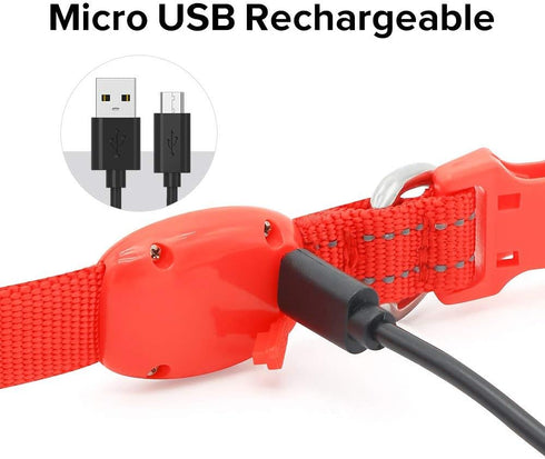 BSEEN LED Dog Collar - Rechargeable Light Up Collar for Small Dogs & Cats, Reflective Adjustable Safety Lights (Red, XS)