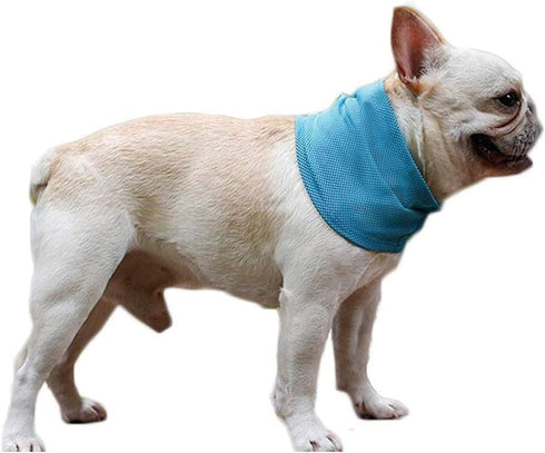 NACOCO 2 Pcs Dog Instant Cooling Scarf, Summer Pet Bandana for Bulldog (Blue, S)