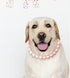 Chunky Pearl Dog Necklace (Beads 19mm) with Strong Stainless Steel Wire Rope, Adjustable Pearl Collar for Medium Large