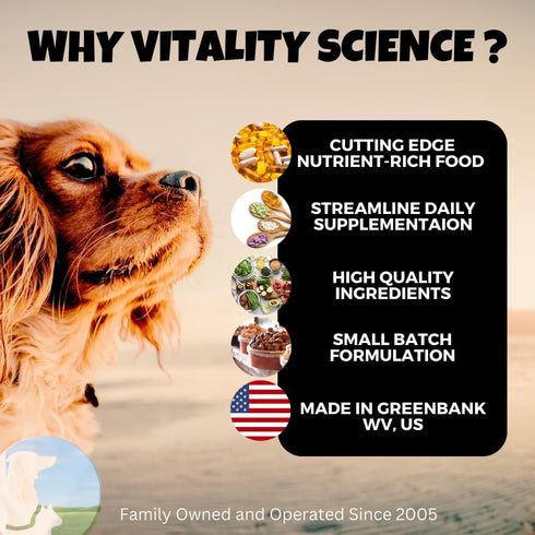 Super Food Supplement for Dogs, 98g, Increase Necessary Vitamin Intake
