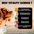 Super Food Supplement for Dogs, 98g, Increase Necessary Vitamin Intake