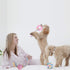 Dog Rope Toys for Small Dogs, Interactive Chew Toys, Tug of War Gift Set for Medium Dogs (5 Pack)