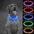 Illumifun LED Dog Necklace Light, USB Rechargeable Light Up Dog Collar, Flash LED Collar for Camping (Blue-Silicone)