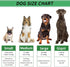 Christmas Dog Gifts, Rubber Dog Squeaky Toys for Small Dogs, Dog Toothbrush for Teething Cleaning