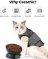 Elevated Cat Food Bowl, 5 Oz Ceramic Raised and Tilted Water Bowl, Anti Vomiting and Protect Pets' Spines Dishes for