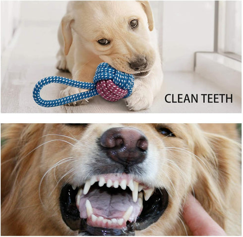 Toozey 7 Pack Small Dog Toys - Puppy Teething Toys - Durable Ropes and Cute Calf Squeaky Dog Toys