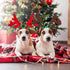 BWOGUE 2 Set Dog Elk Reindeer Antler Headband for Christmas Pet Costume, Accessories for Small and Medium Dogs Cats