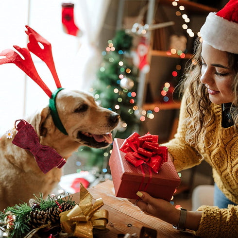 Elegant Little Tail Christmas Dog Collar with Bow, Herringbone Red Black Cotton Durable Bowtie Collar