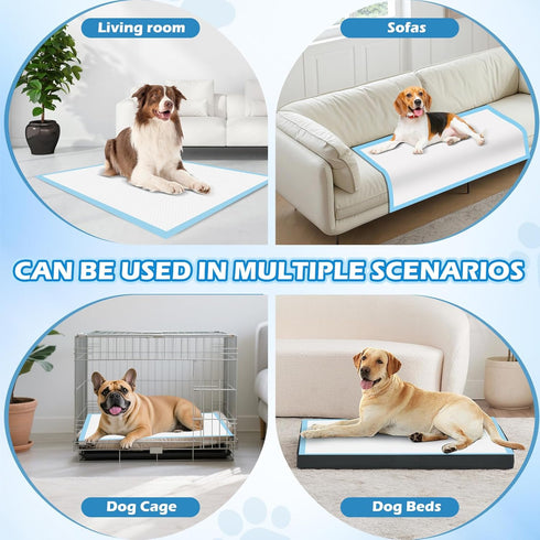 150 Pack 23" 23" 6-Layer Bulubaky Puppy Pads x | Super Absorbent & Leak-Proof Puppy Pee Pads | Rapid Dry Disposable