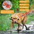 Vivifying Waterproof Dog Leash, 32FT Durable PVC Coated Webbing Long Leash with Soft Handle for Camping, Backyard,