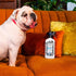 Pet-Pourri Odor Freshener Spray, Pawsitively Fresh, 16 Fl Oz, Air + Fabric Odor Eliminator