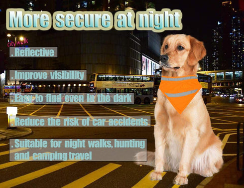 2 Pack Reflective Dog Bandana - Large/Medium/Small, Personalized Neon Color, High Visibility for Night Walking