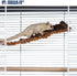 Prevue Pet Toy NAT Wonder Walk Bird Ladder, Large (62809), Brown