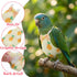 HJZHII 5 Pcs Bird Diaper, Parrot Nappy with Waterproof Inner Cute Parrot Pants Reusable Cockatiel Clothes Flight Suit