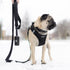 Voyager Reflective Dog Leash with Neoprene Handle, 5ft Long, for Small to Large Breeds, Black