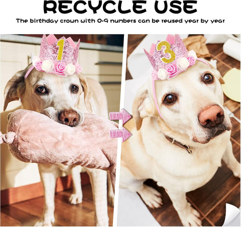 Pet Crown - Reusable Birthday Party Crown for Dog & Cat, Pink with 0-9 Figures Charms