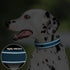 PetiFine Neoprene Padded Dog Collar, Heavy Duty with Durable Metal Buckle, Reflective Adjustable for Small Medium Large