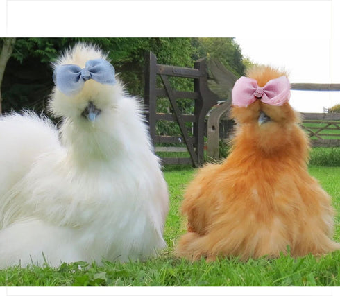 Generic Silkie Hair Bows and Headbands for Chicken - Costume Headwear, Hand Wash Only, Tulle and Elastic, Bright