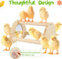 Cubolar Pine Chicken Perch with Mirror, Strong Chick Jungle Gym Roosting Bar, Chicken Toys for Coop and Brooder