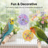 Hpmjz 2 Pcs Bird Toys for Parakeets, Colorful Spin Wheel Toy, Interactive Bird Educational Toy for Small Birds Bird