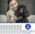 12 Pcs Metal Dog Comb Bulk Grooming Tool for Removing Knots, Long and Short Haired Dogs and Cats, 7.48 Inch