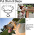 Darkyazi Durable Pinch Collar, Adjustable Stainless Steel Training Collar for Medium Large Dogs (Small, Pack of 1,