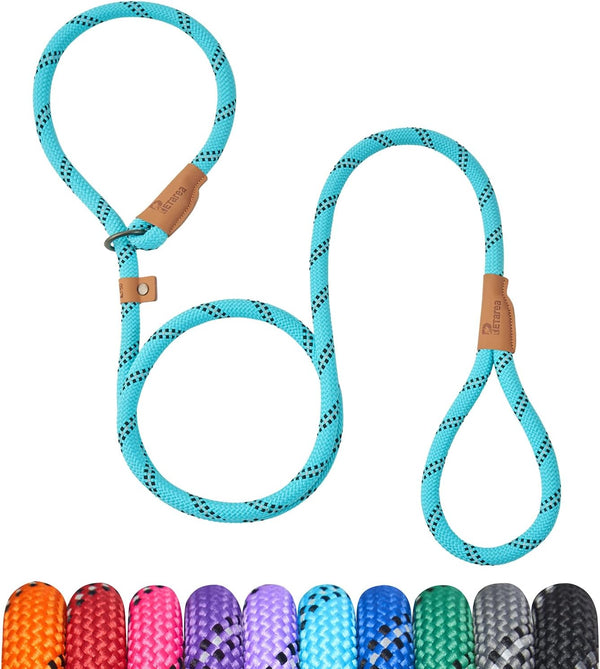 5 FT Heavy Duty Slip Lead Dog Leash for Small Medium Large Dogs, No Pull Training with Reflective Thread, Teal Stripe,