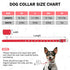 Leather Dog Collar for Puppy Small Medium Dogs, Adjustable Star and Moon Studded with Rust-Proof Metal Buckle, 11-14"