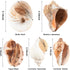 Hermit Crab Shells - Large 6pcs Natural Conch Shells (Size 2.8" - 3.8") for Habitat and Decorations