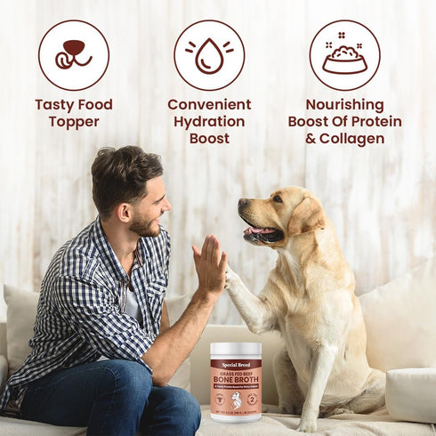 Bone Broth Powder for Dogs and Cats, Grass Fed Beef Broth Food Topper Supplement, 9.5 oz